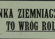 Powiększ zdjęcie Hasło propagandowe walki ze stonką