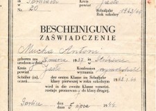 Powiększ zdjęcie Świadectwo szkolne ukończenia pierwszej klasy w 1944 roku