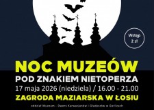 Powiększ zdjęcie plakat Noc Muzeów pod Znakiem Nietoperza