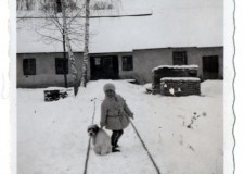 Powiększ zdjęcie Szyny kolejowe na terenie Forestu (w tle magazyn na wyroby: wieszaki, łuki, foteliki ogrodowe)