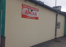 Powiększ zdjęcie Budynki firmy Angus