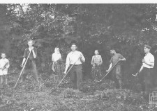 Powiększ zdjęcie Łużna, sianokosy, 1950 r.