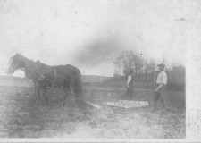 Powiększ zdjęcie Łużna, bronowanie, ręczny siew, 1950 r.